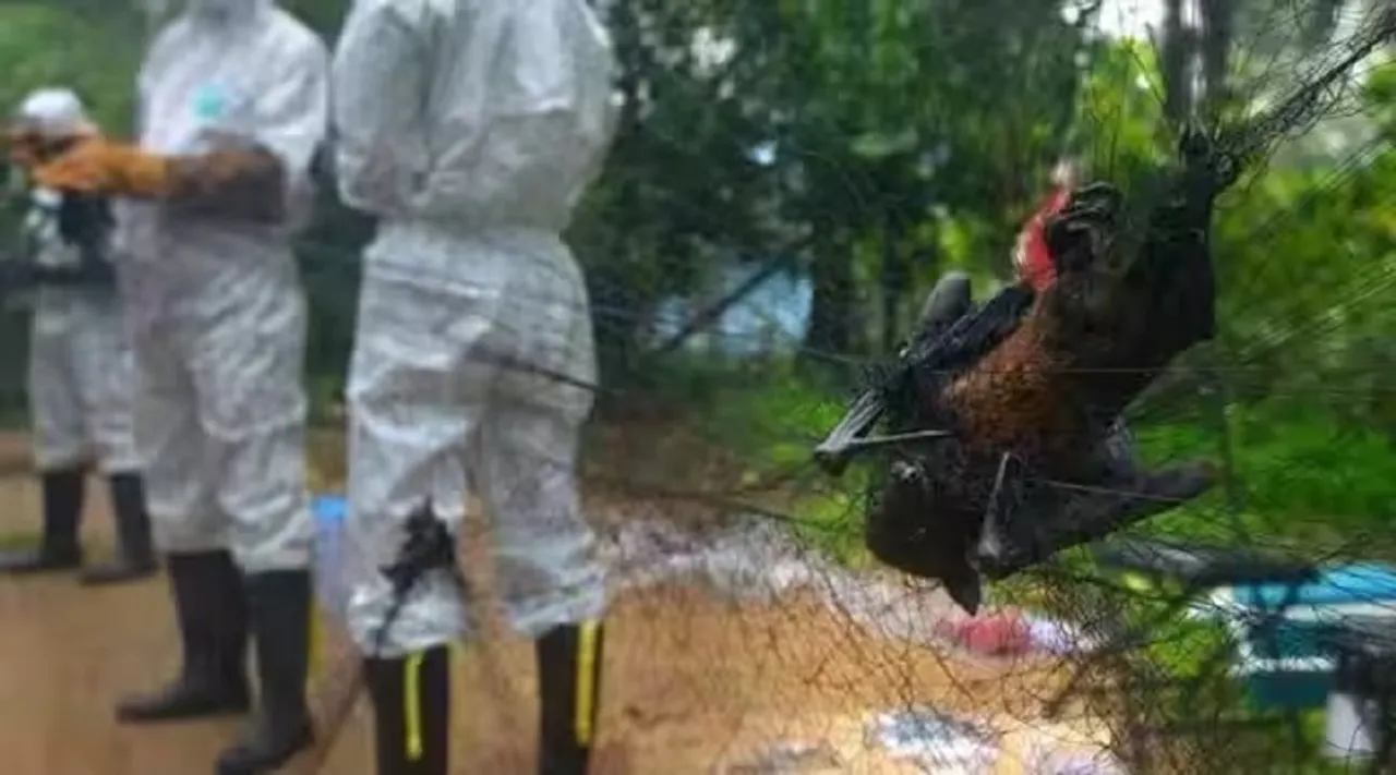 Kerala Nipah
