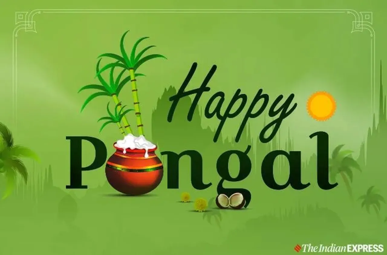 Happy pongal