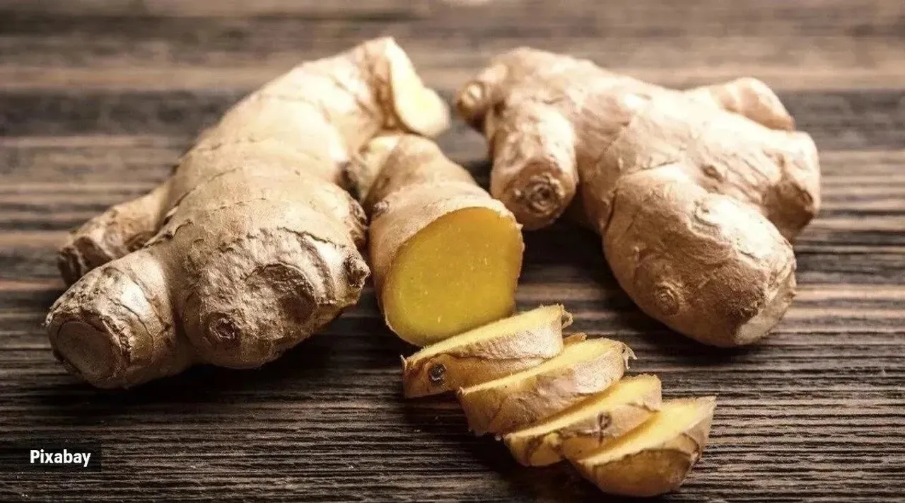ginger 
