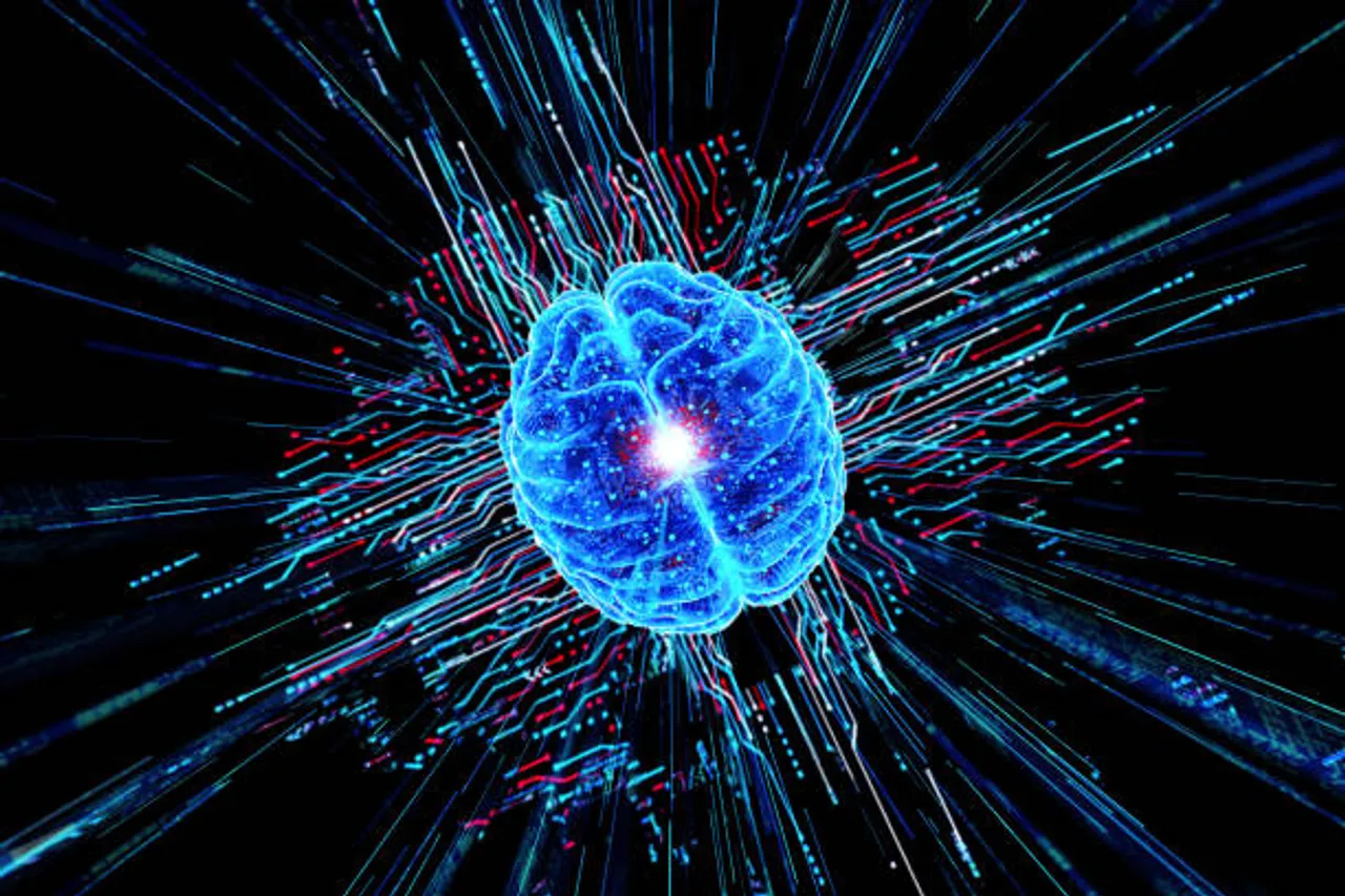brain