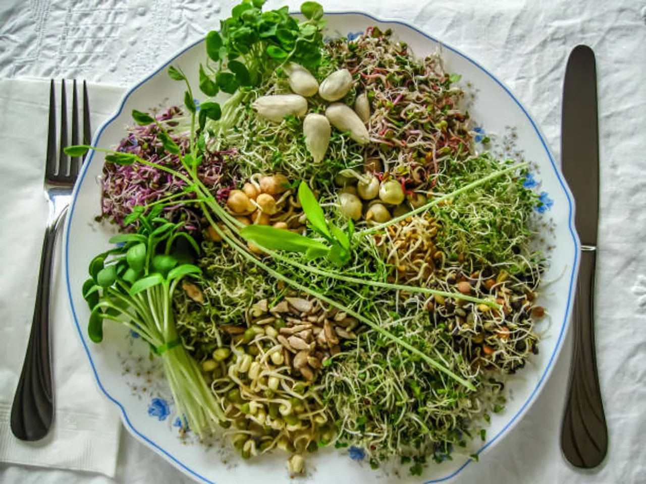 sprouts