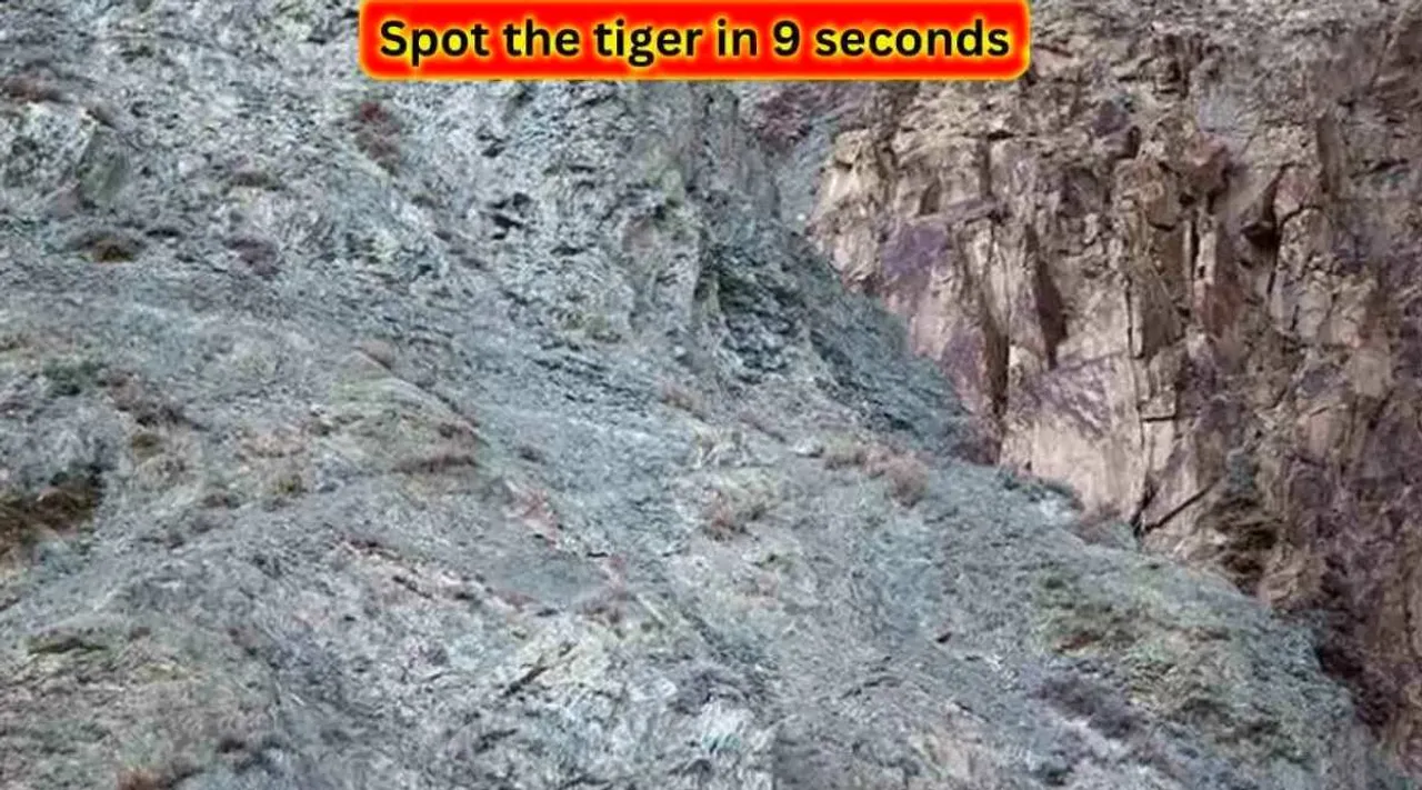 Tiger 1 