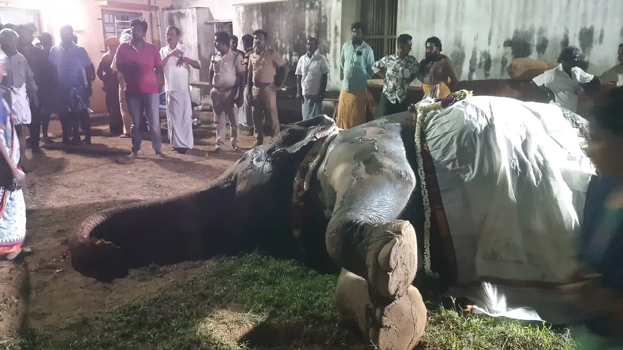 Karaikudi 