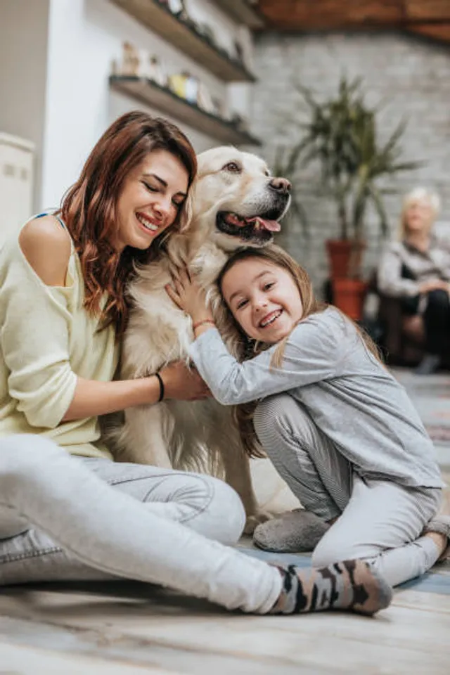 pets