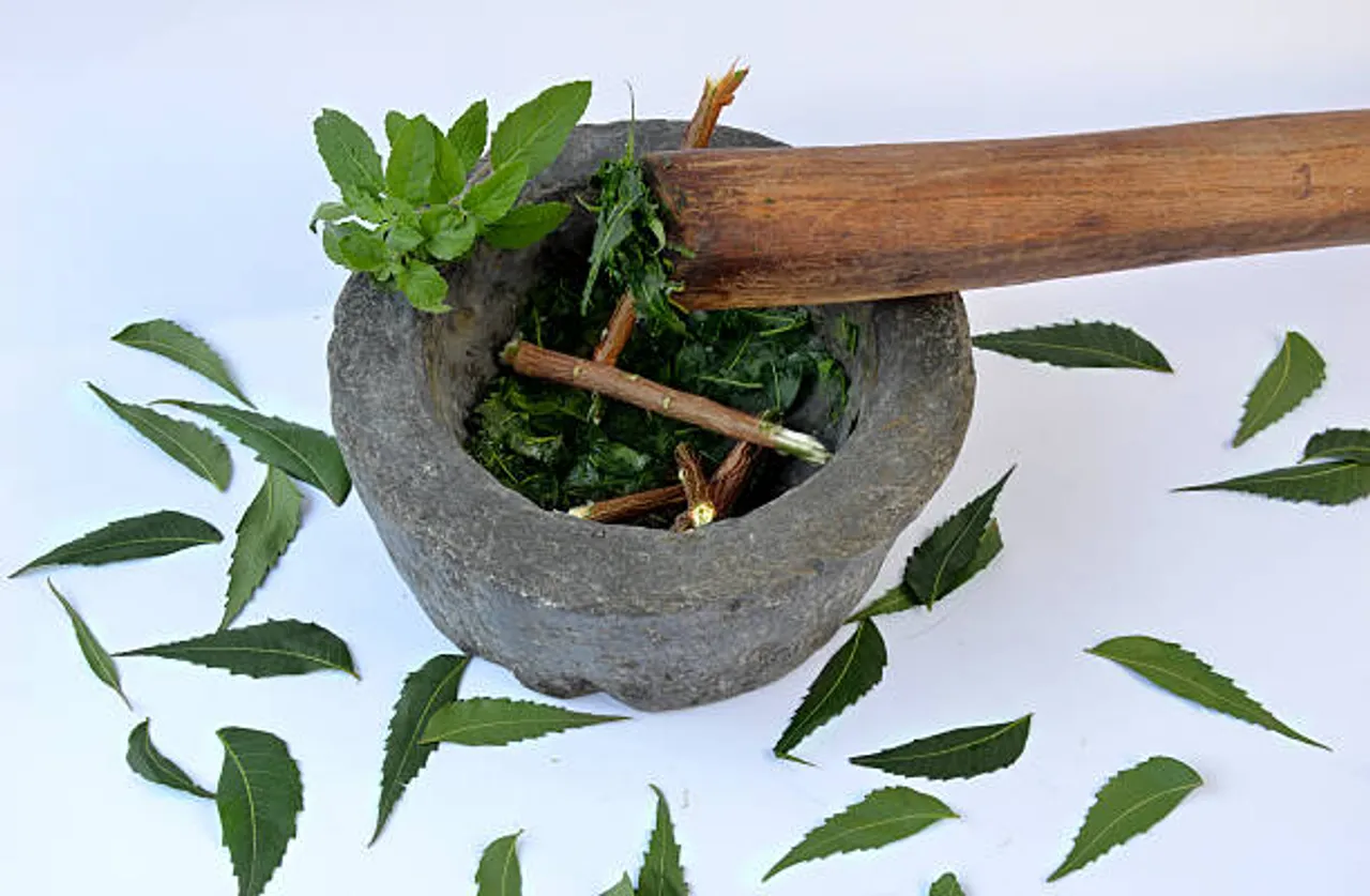 tulsi