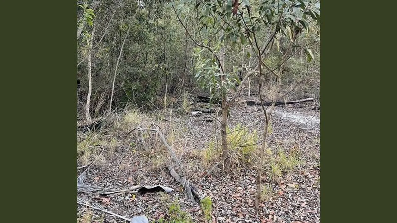 Snake optical illusion 1 