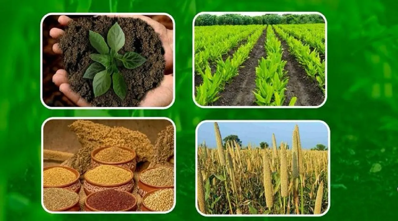 TN Agri Budget 2024