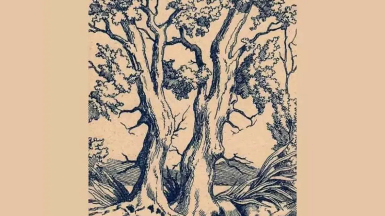 hidden faces i