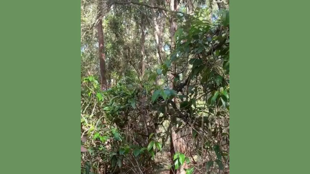 python 1 