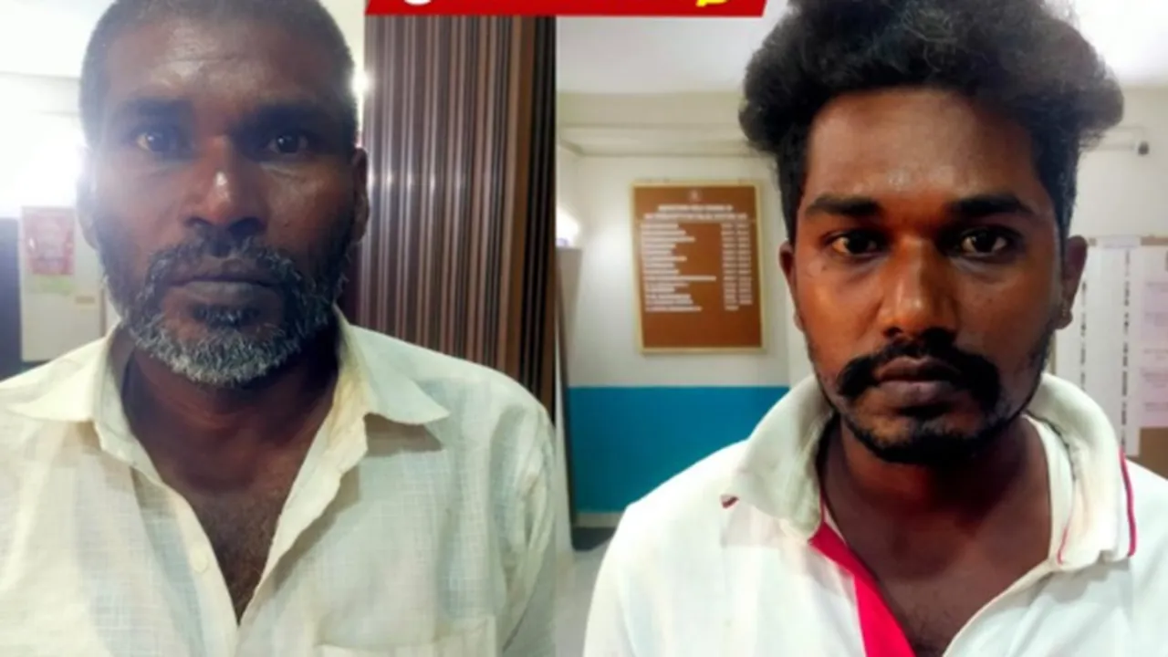 the owners of the cow were arrested