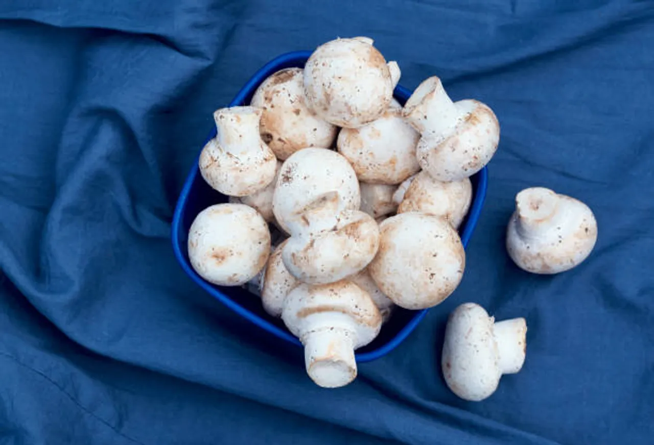 mushrooms