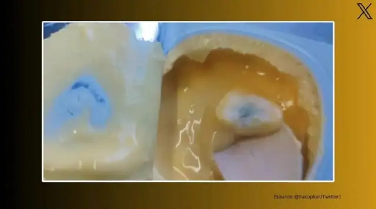 irctc yogurt fungus