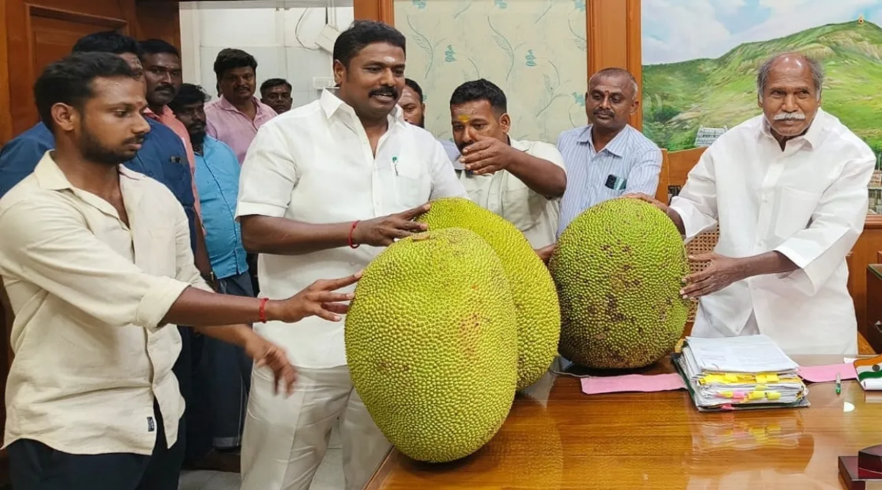 Puducherry MLA Jackfruit