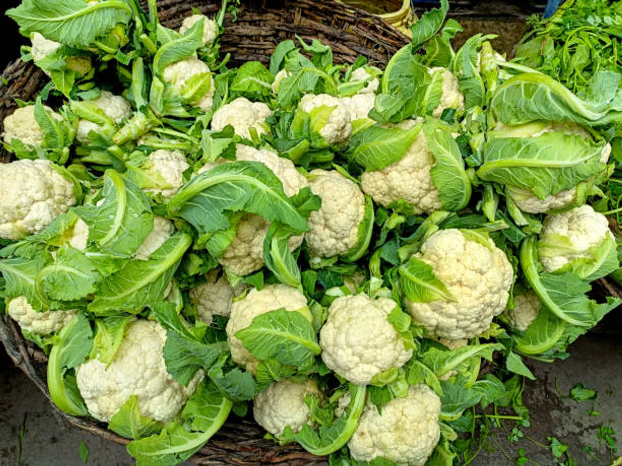 cauliflower