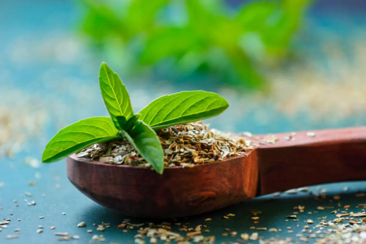 tulsi