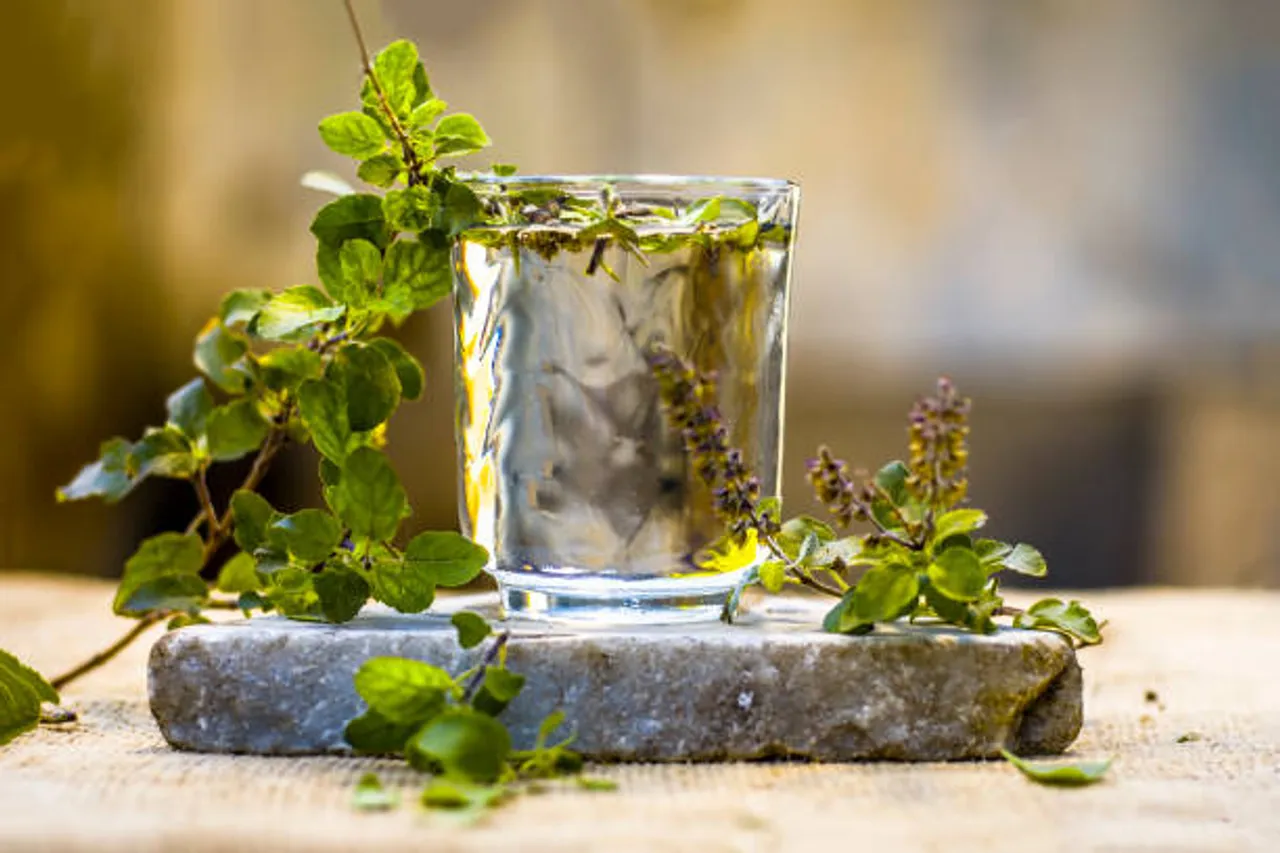 tulsi