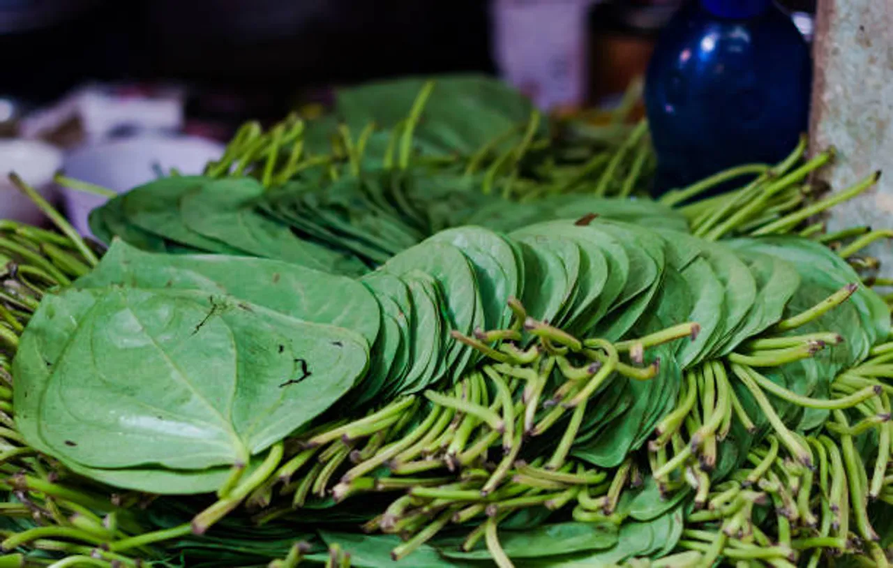 betel leaves