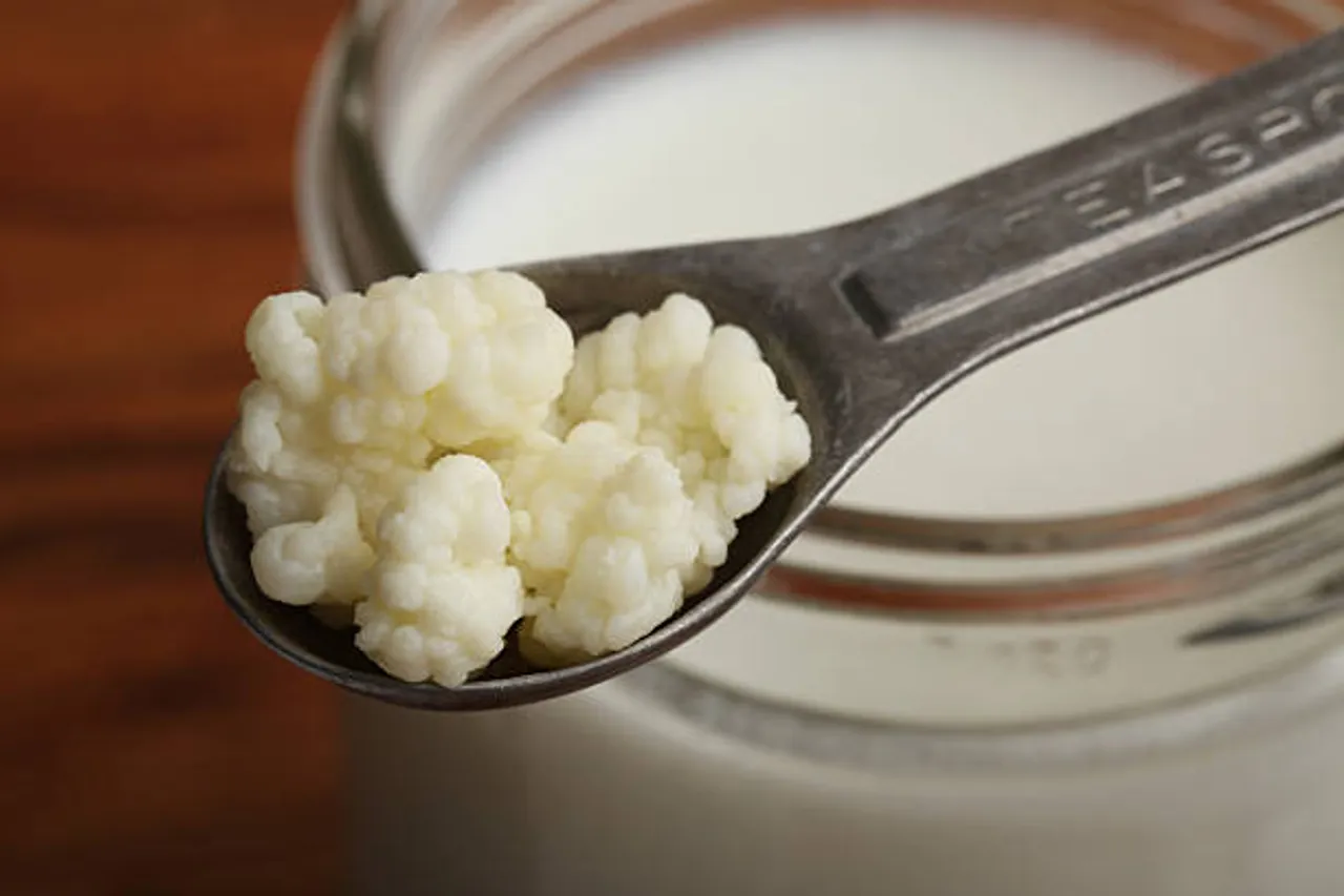 kefir