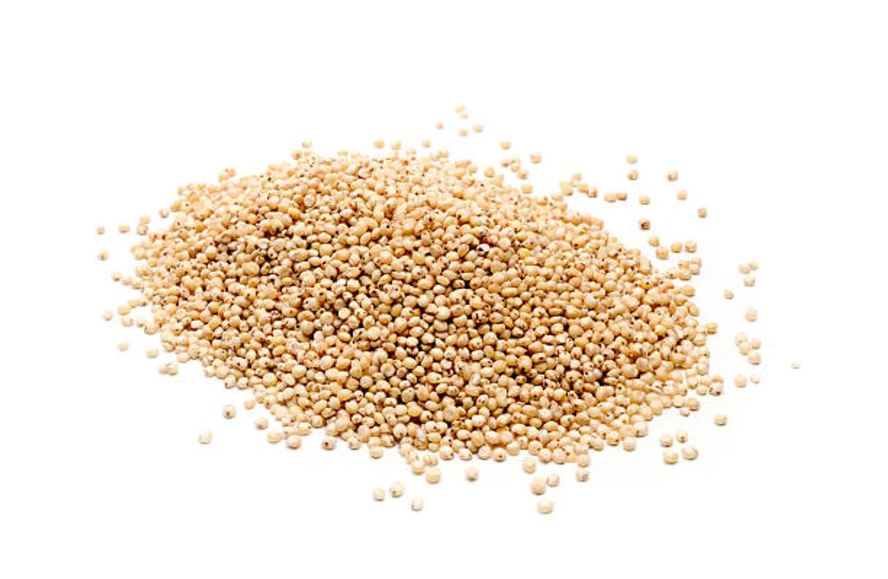 jowar