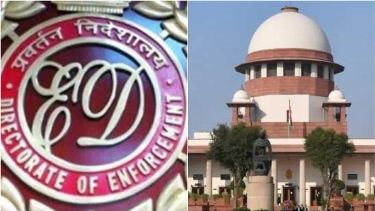 ED SC
