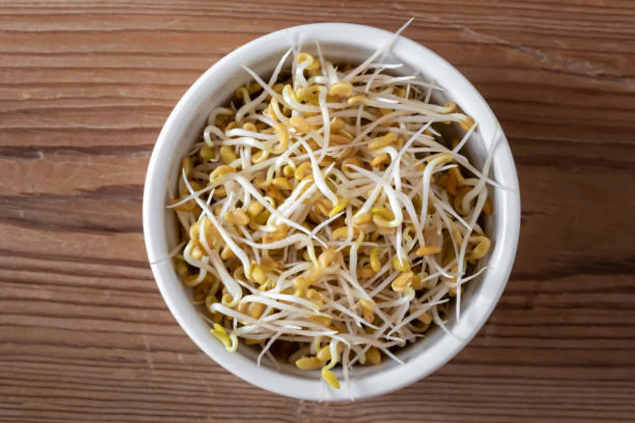 methi sprouts