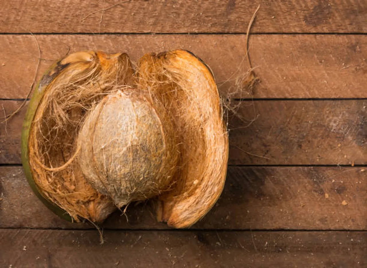coconut