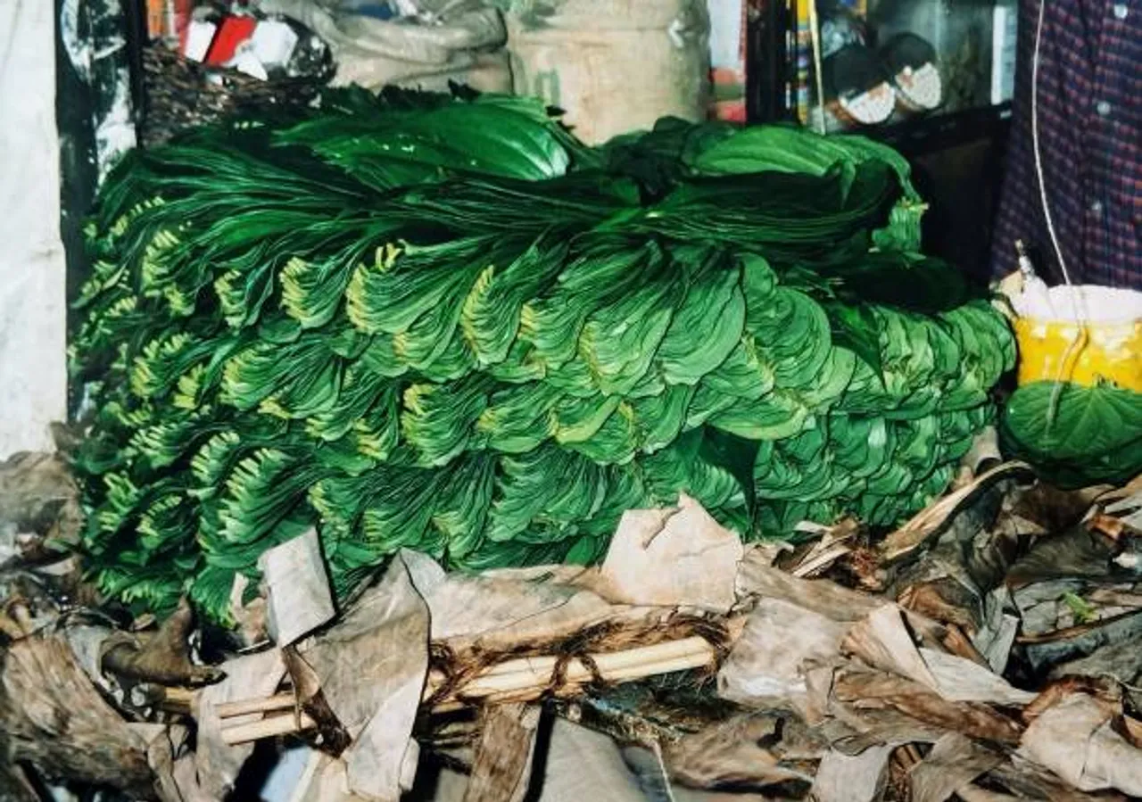 betel leaves