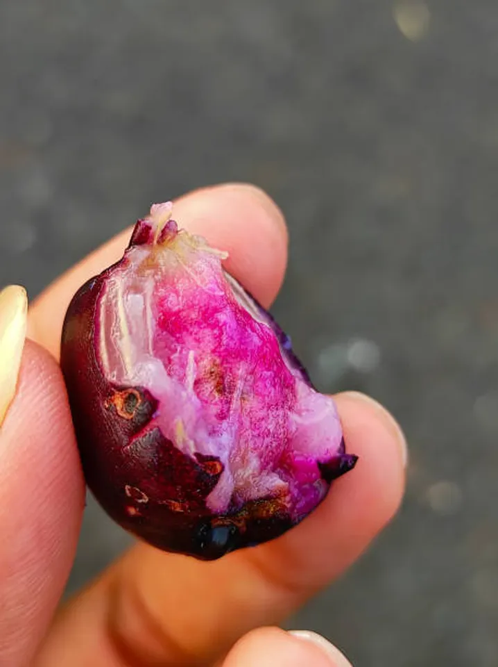 jamun