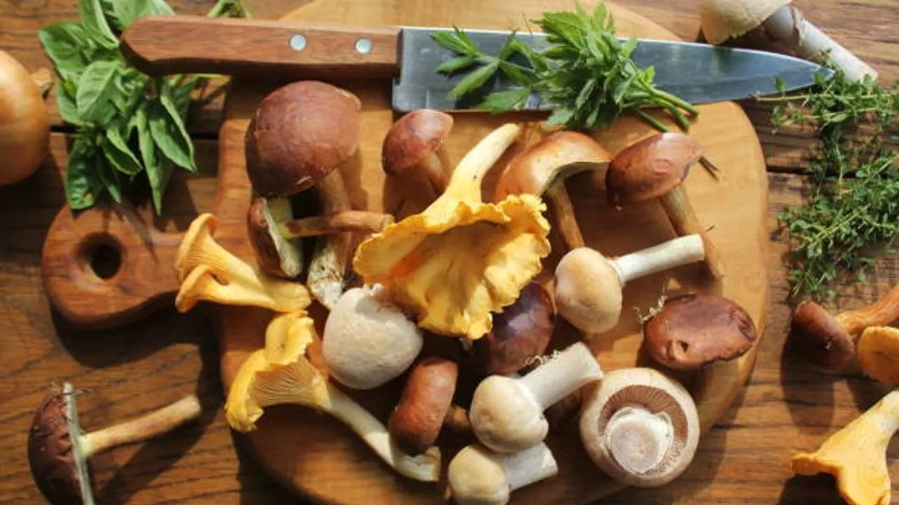 mushrooms