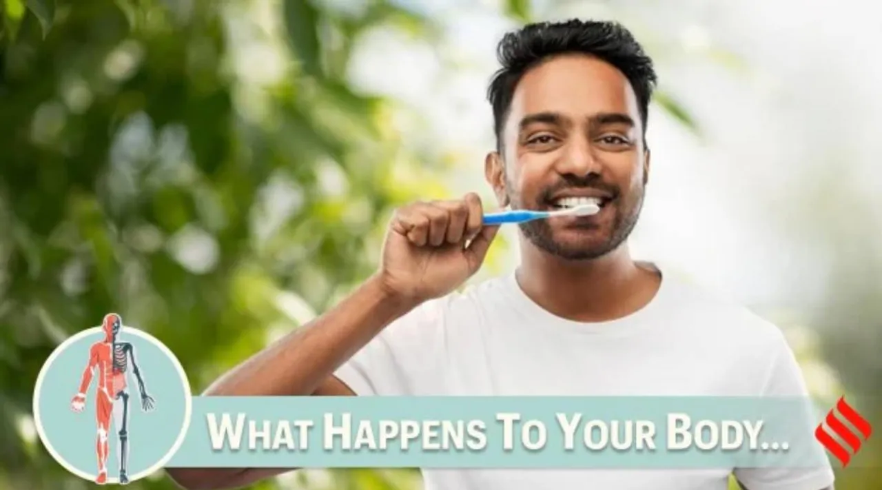 brush