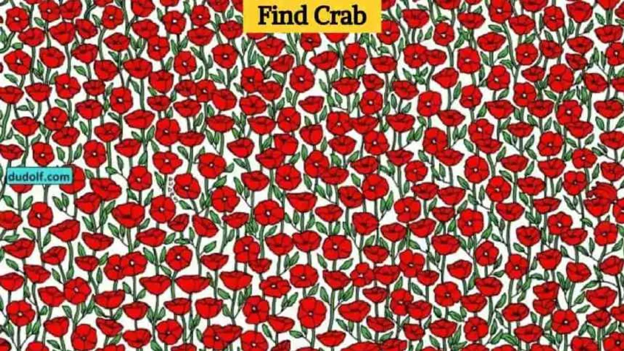 crab 1 