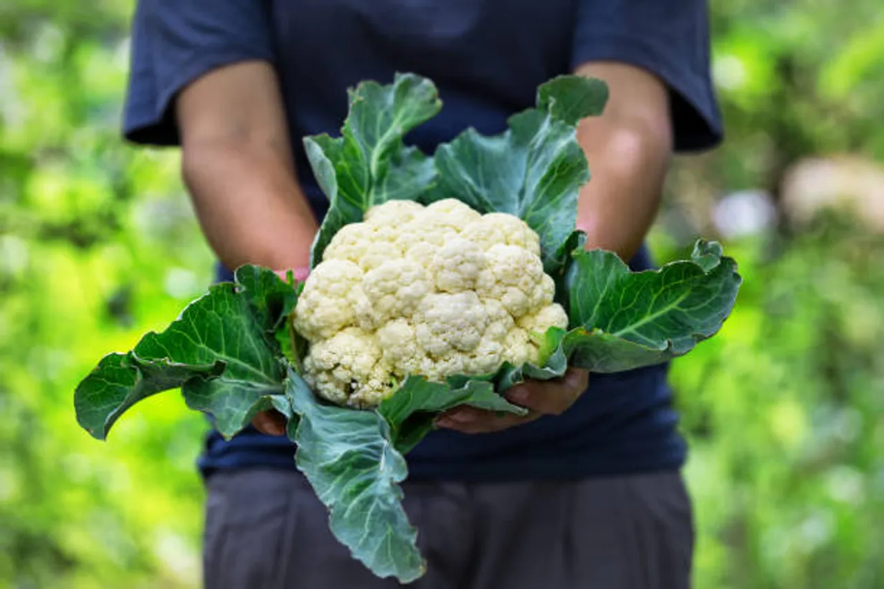 cauliflower