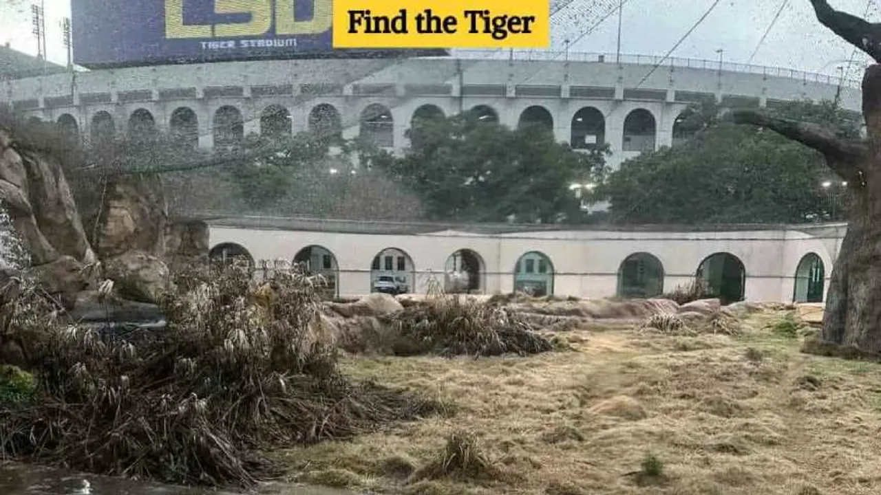 Tiger 1 