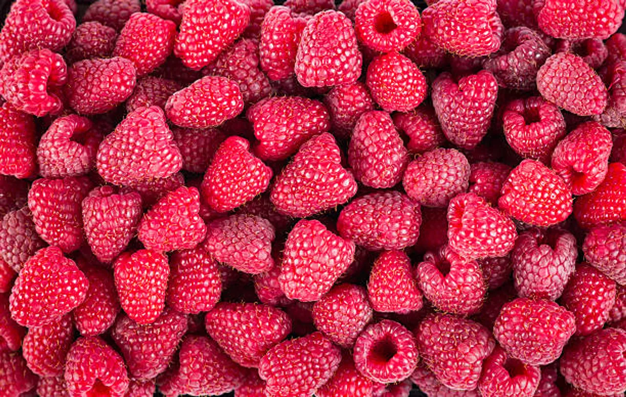 raspberry