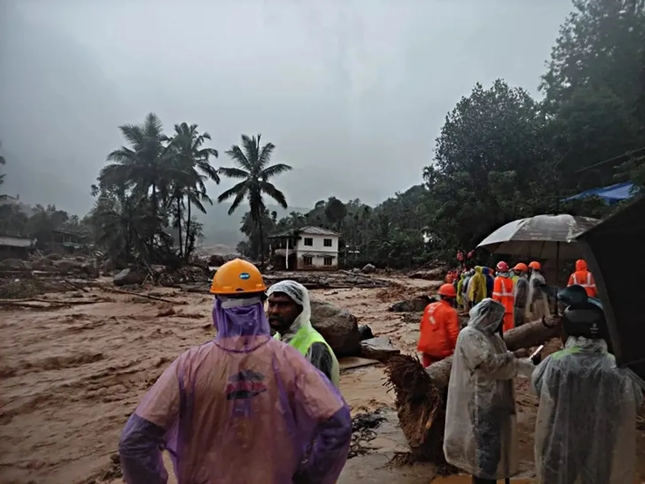 kerala wayanad landslide 