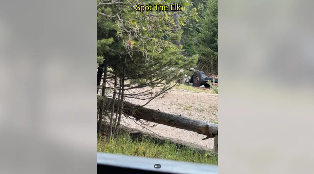 Elk 3