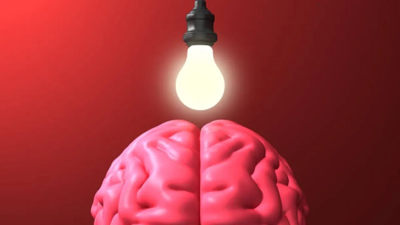 brain