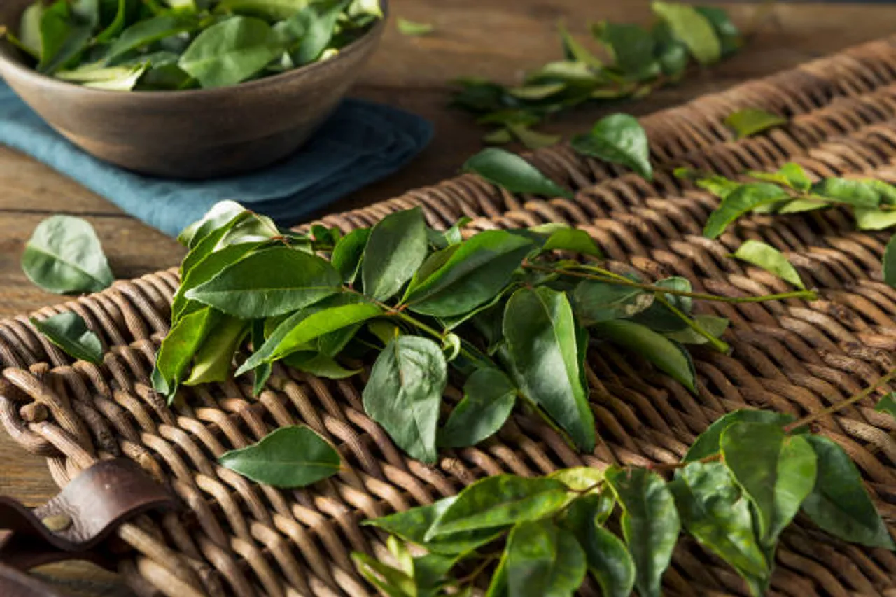 curry leaves