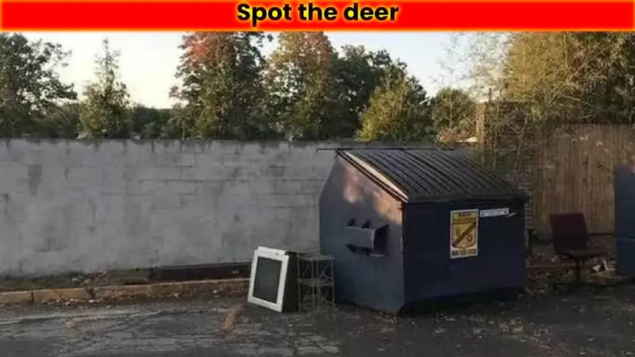 Deer 1 