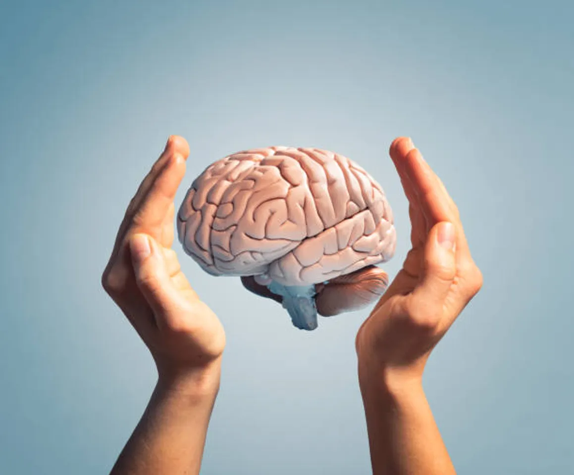brain