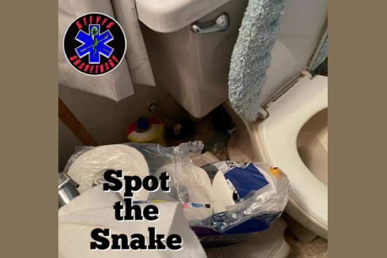 spot the snake 1