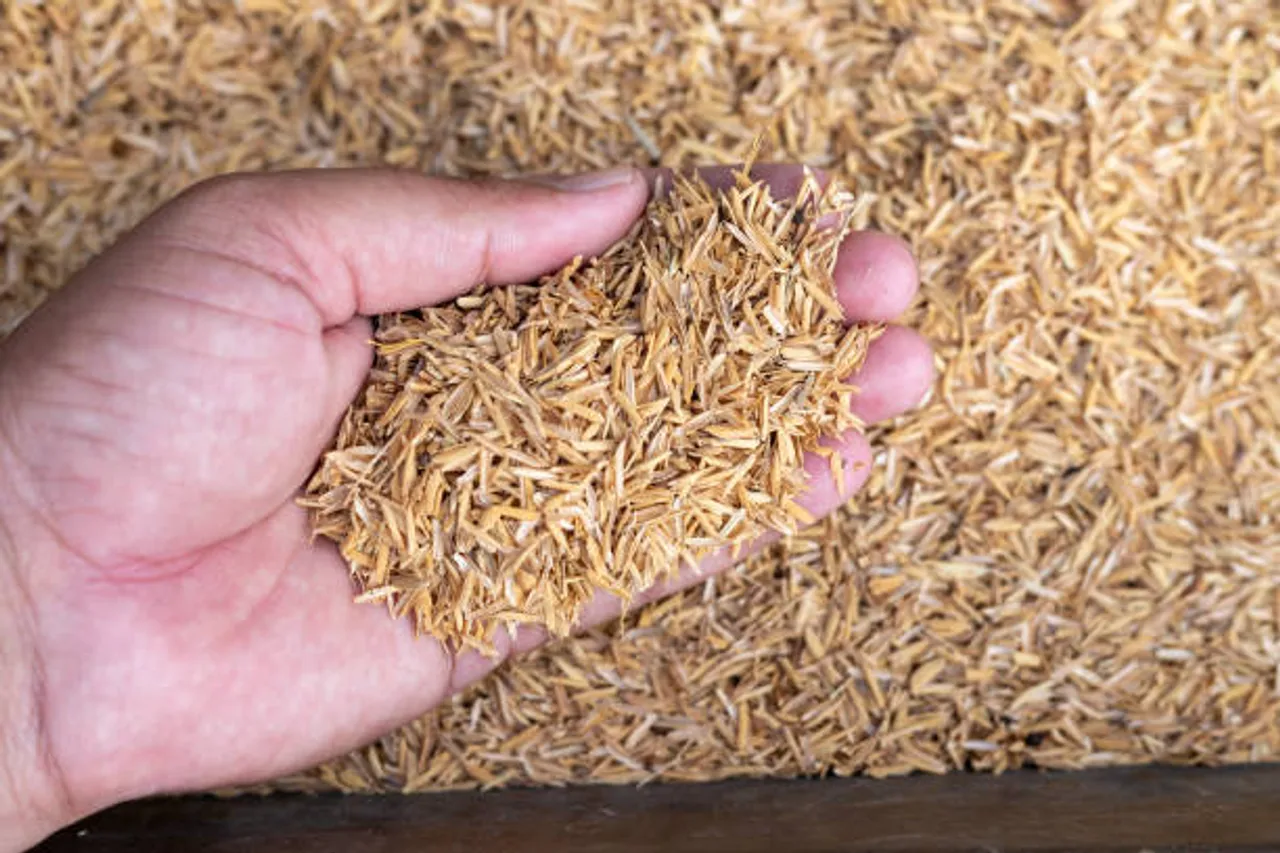 brown rice