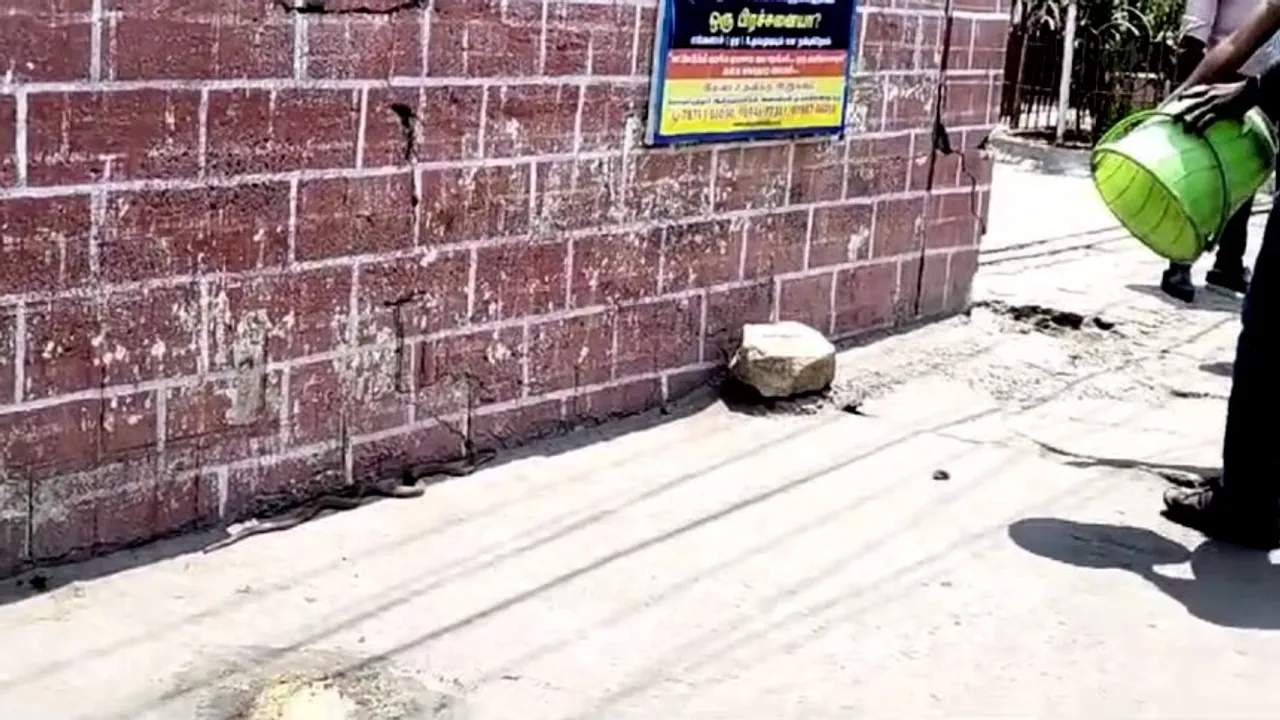 snake in PS