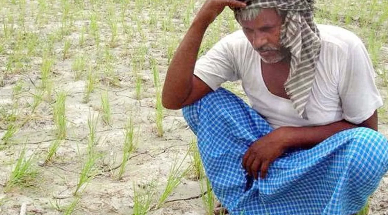 Farmers Budget 2024-25