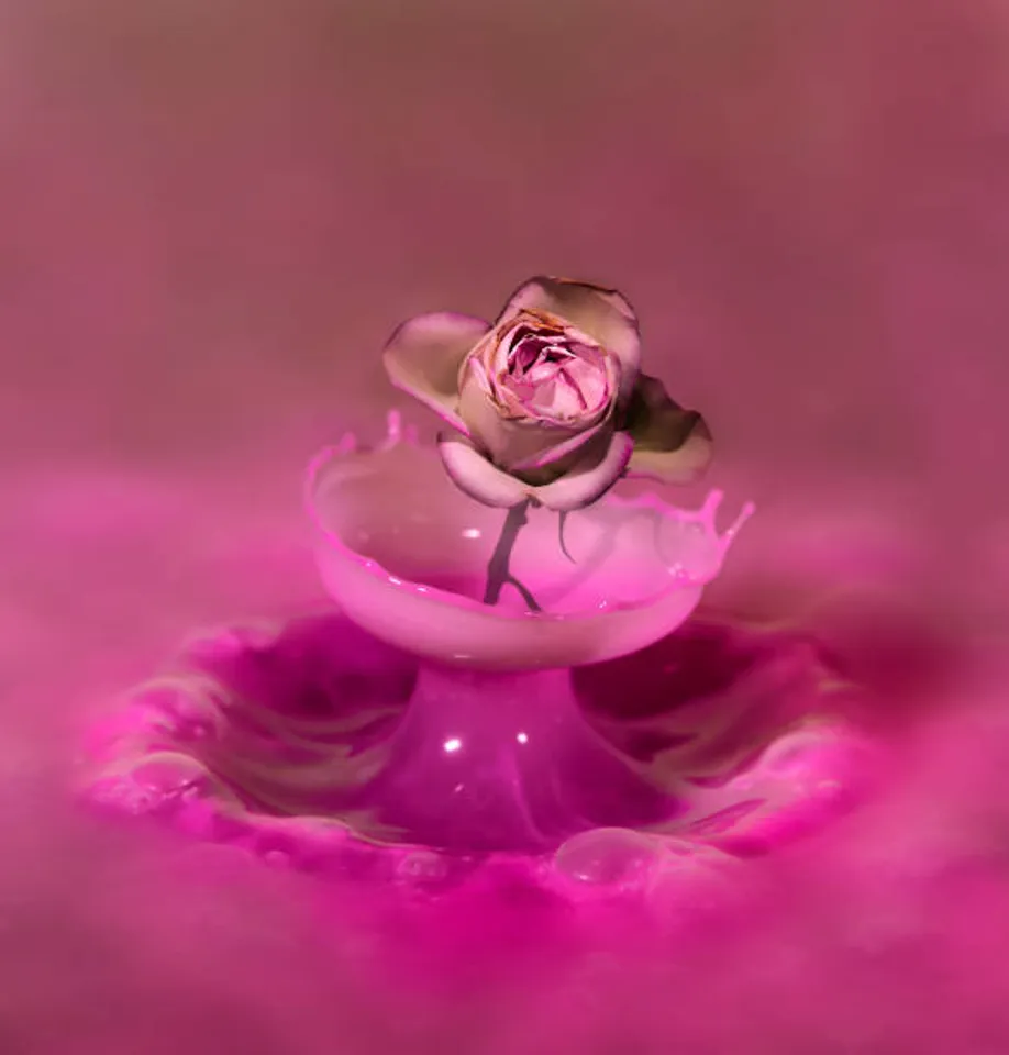 rose water