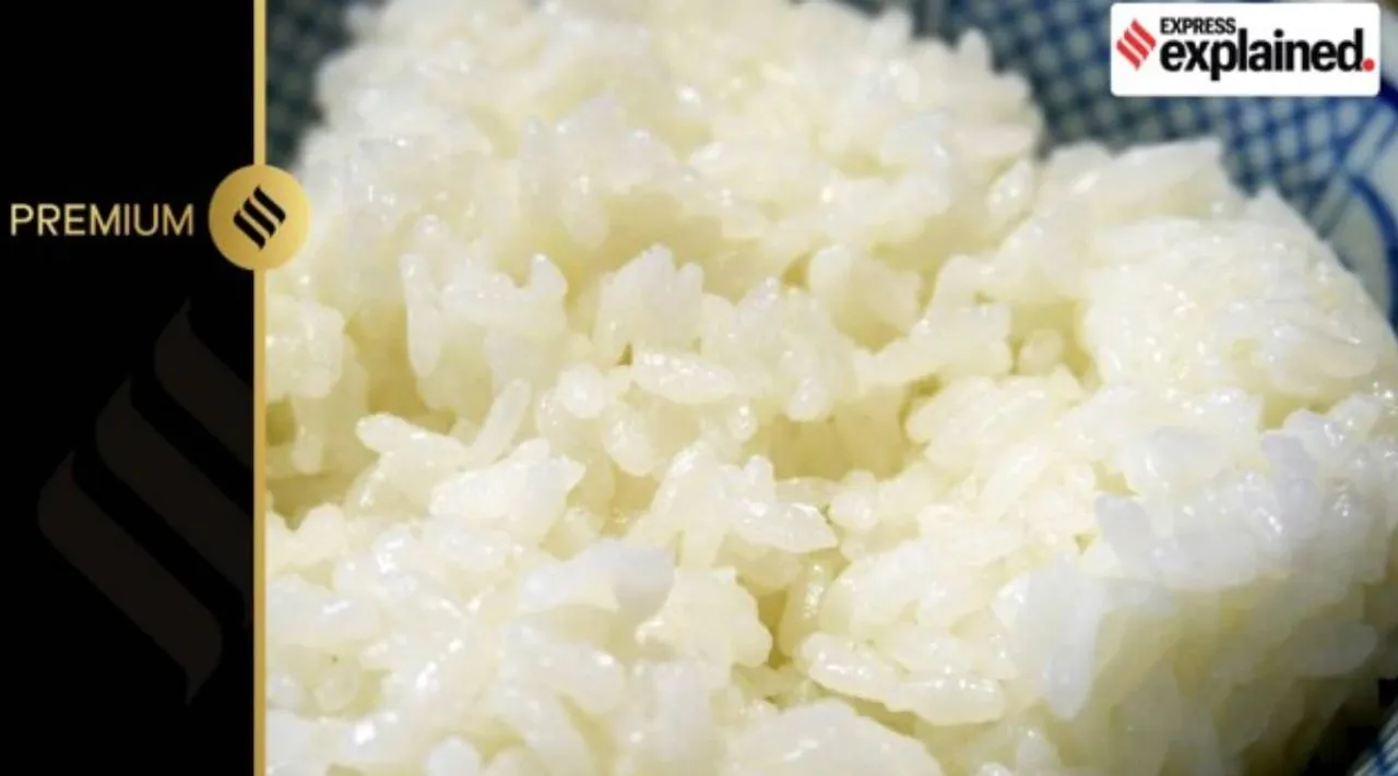 rice