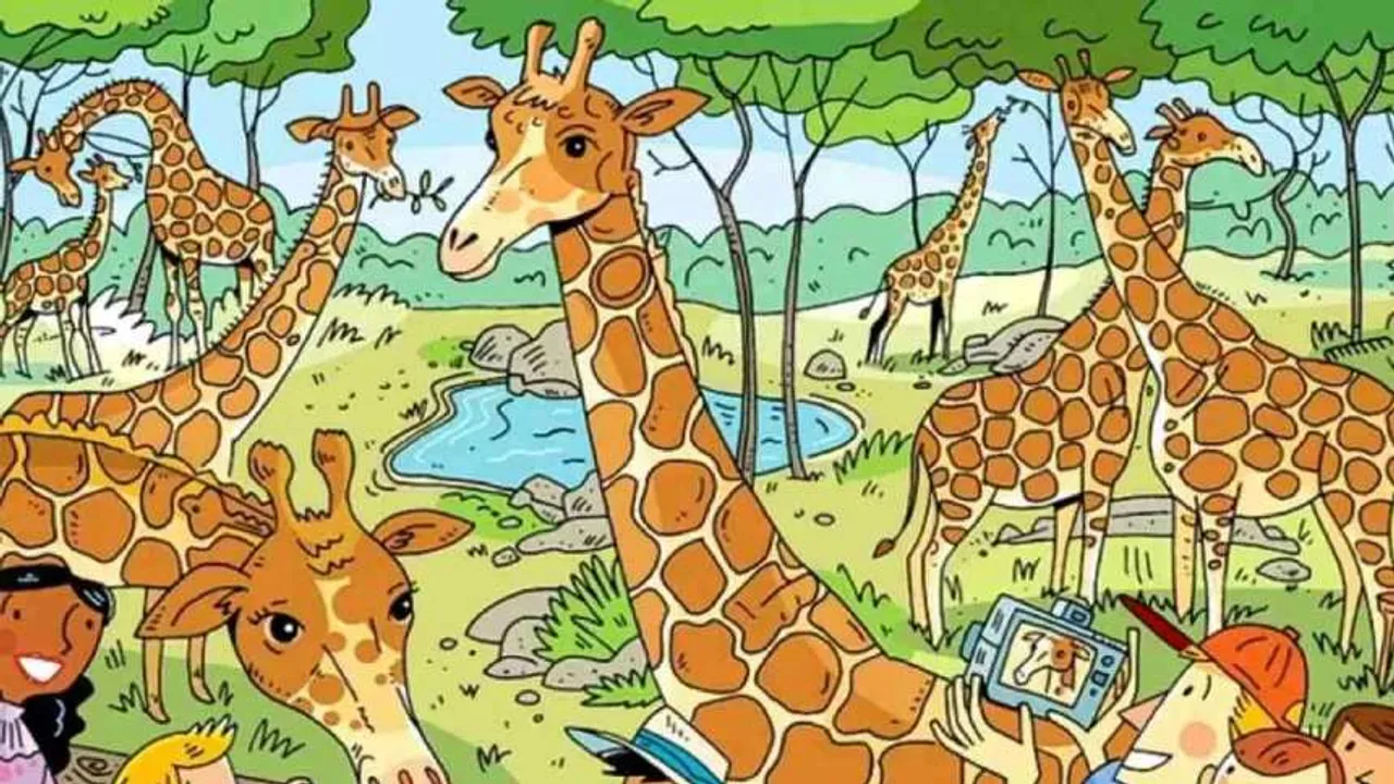 Giraffe 1 