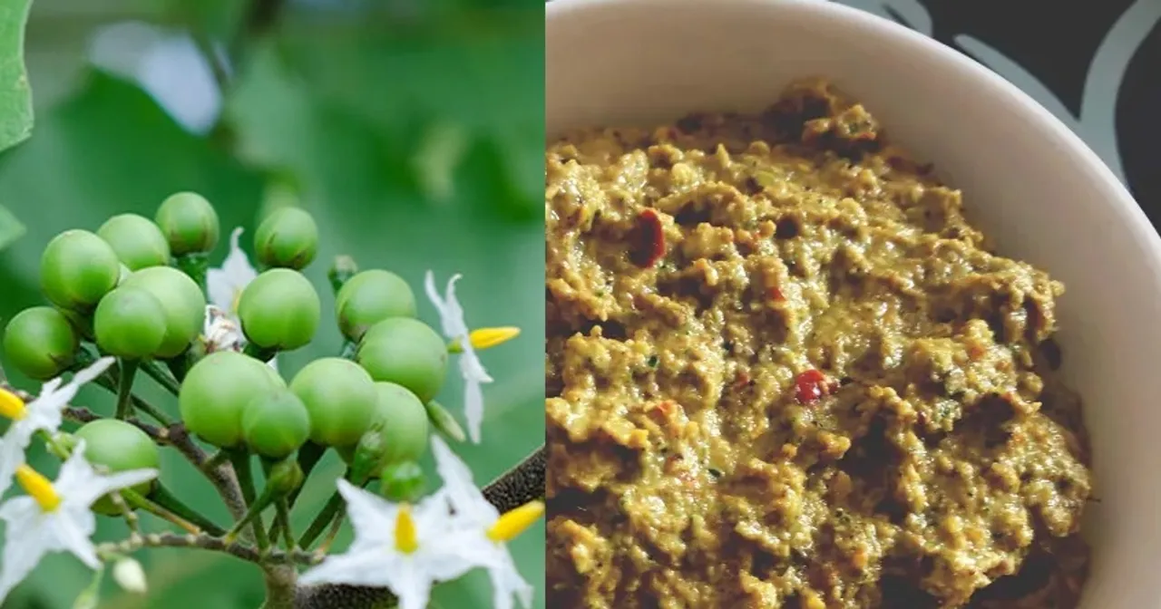 sundakkai chutney