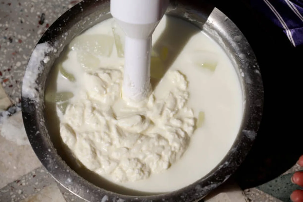 curd rice