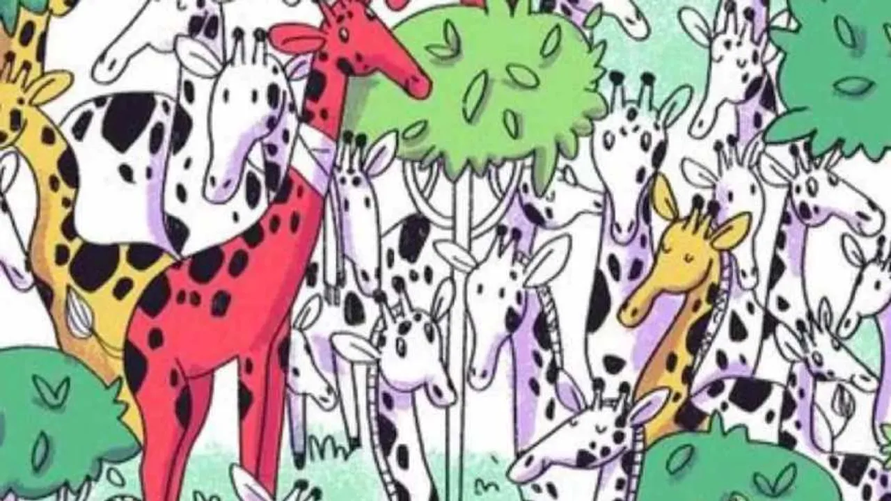 giraffe 1 